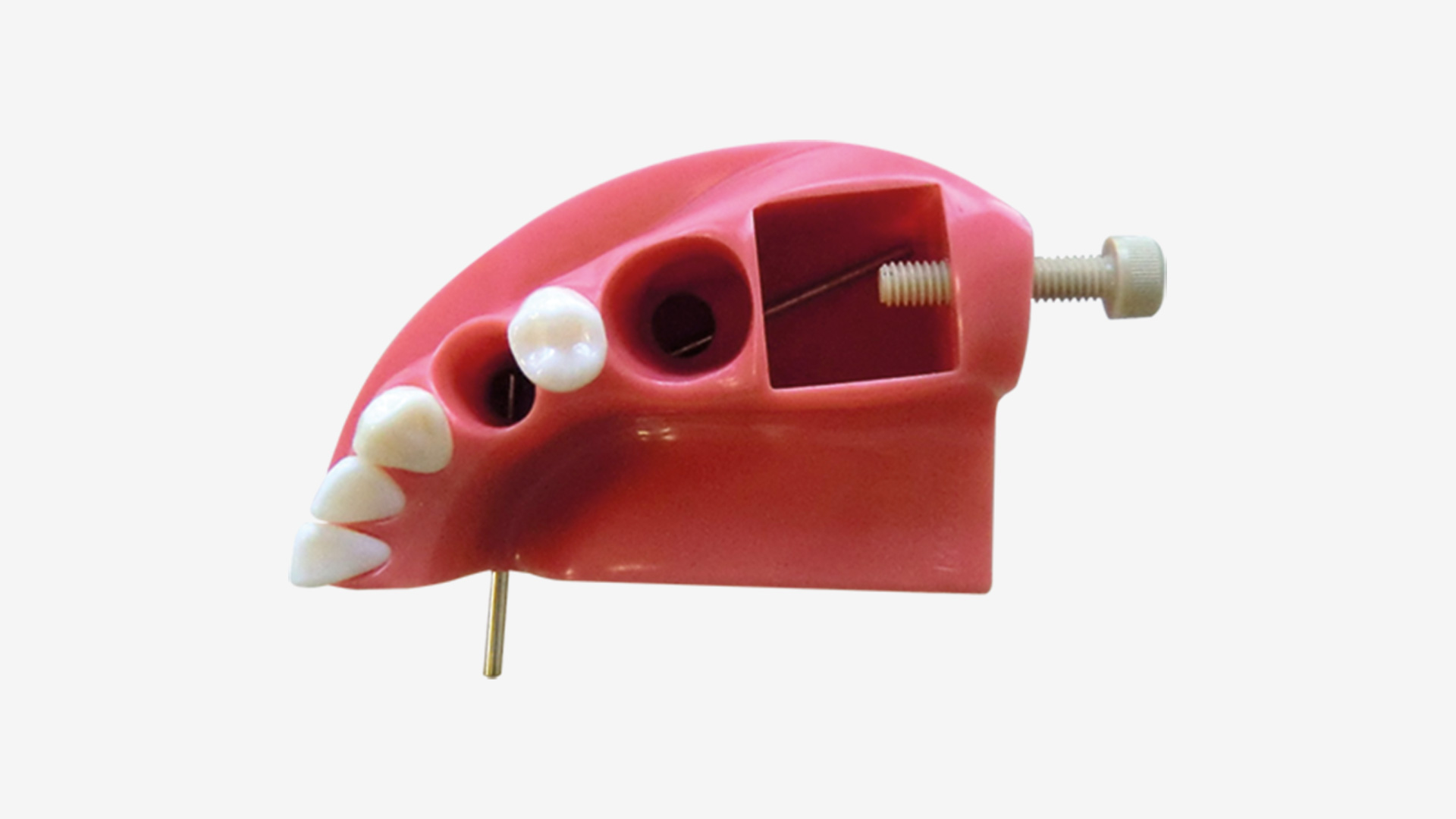 Endo Training Simulator F5-TM-ZX