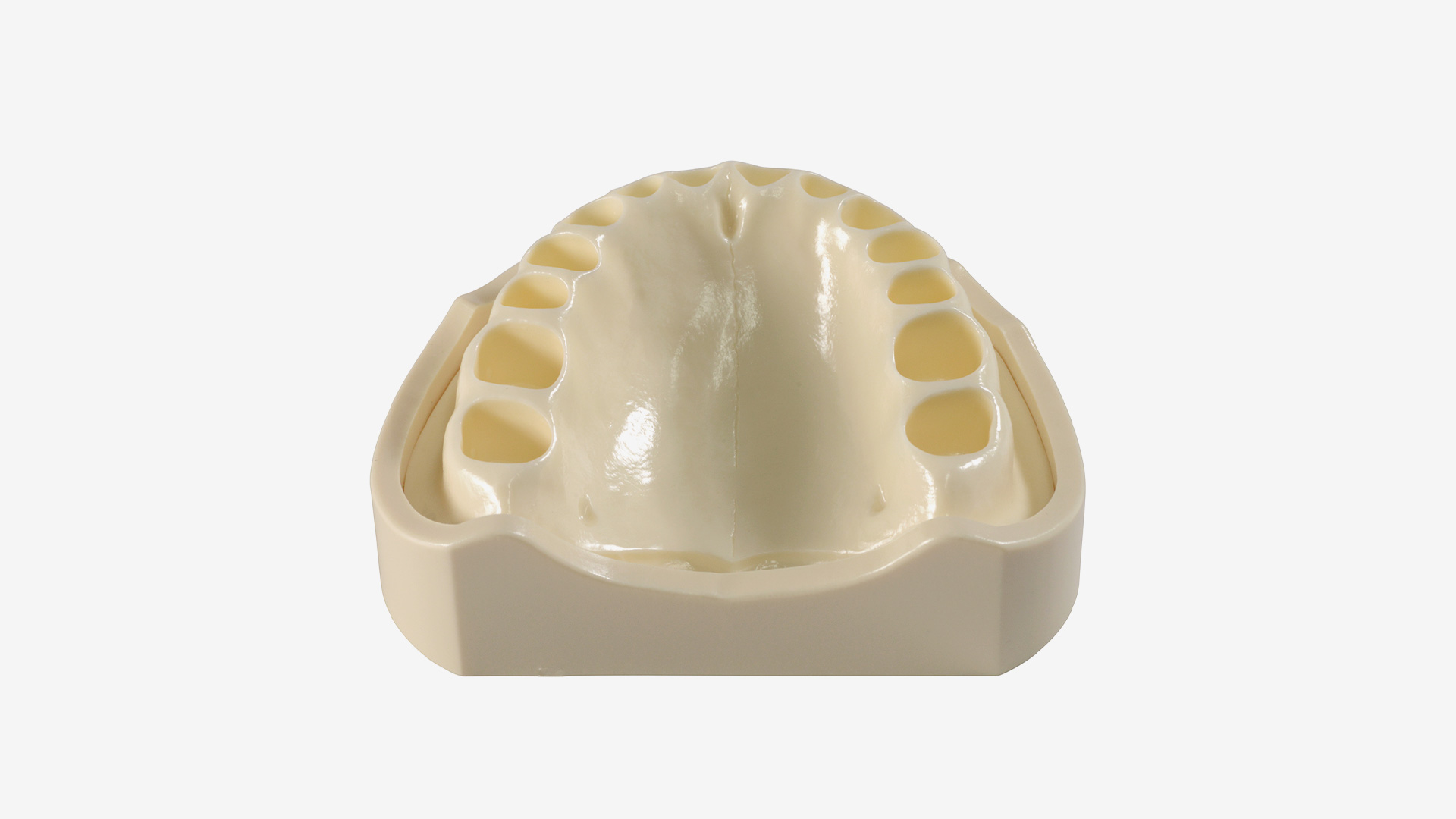 MD15-500(F) U Basismodell Oberkiefer